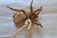 scarab_beetle_v1-belly