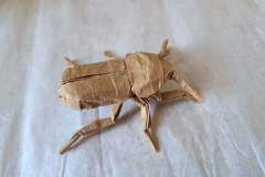 scarab_beetle_v1-back