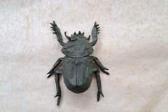 scarab_beetle_v2-back-1