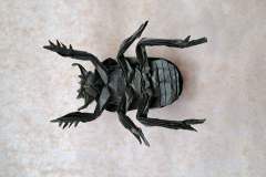 scarab_beetle_v2-belly