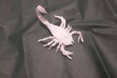 scorpion-hp-v1-back1