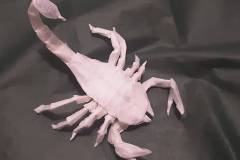 scorpion-hp-v1-back2