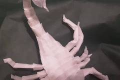 scorpion-hp-v1-pleats