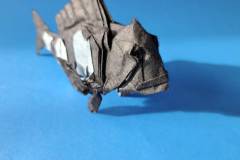 sheepshead-fish-head