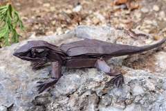 simple-lizard-14