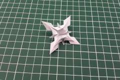 Snowflake-v1-33