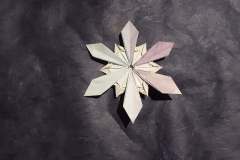 Snowflake-hp-v2-bottom2