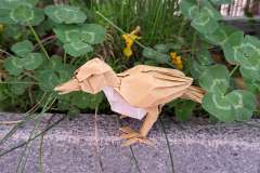 Songbird_V1-side