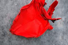 anatomic-heart-back