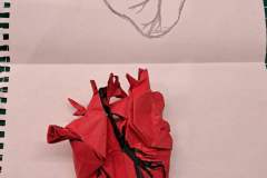 anatomic-heart-sketch