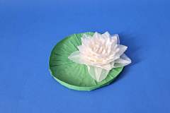 Water_Lily_v1-10