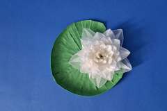 Water_Lily_v1-12