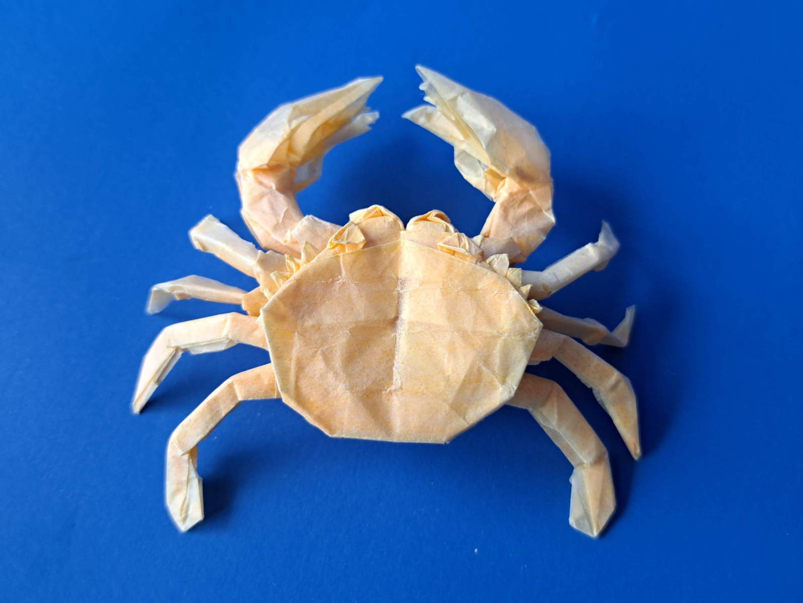 Origami crab